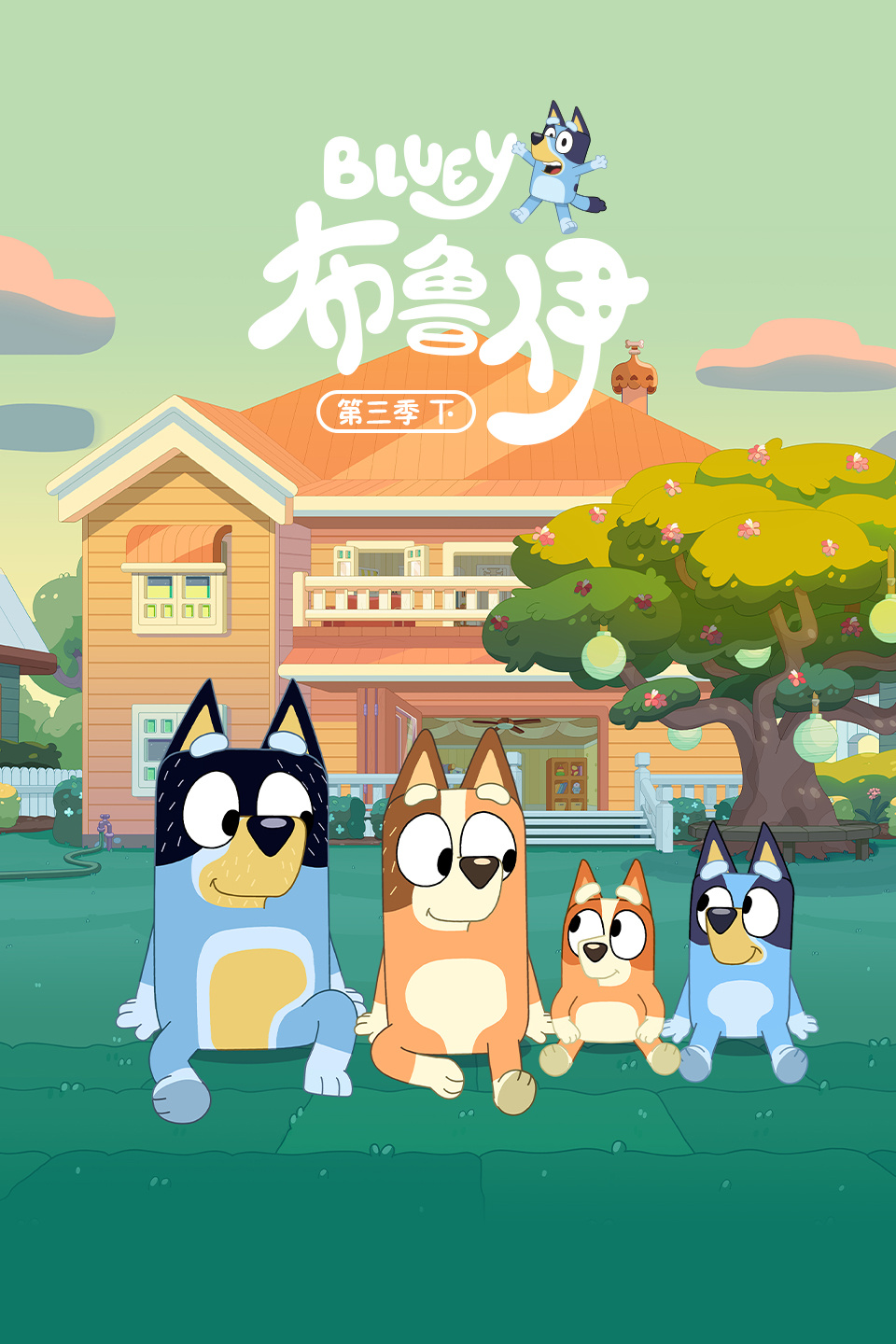 布鲁伊 第三季下